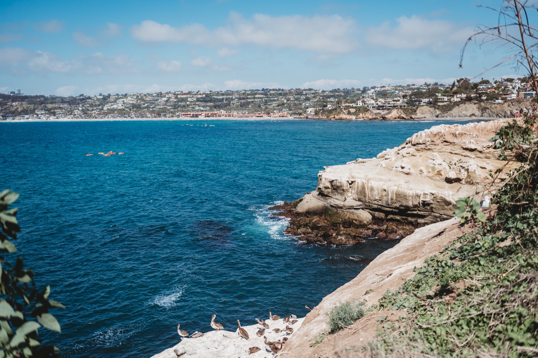 The La Jolla coastline during FIRE Summit 2025