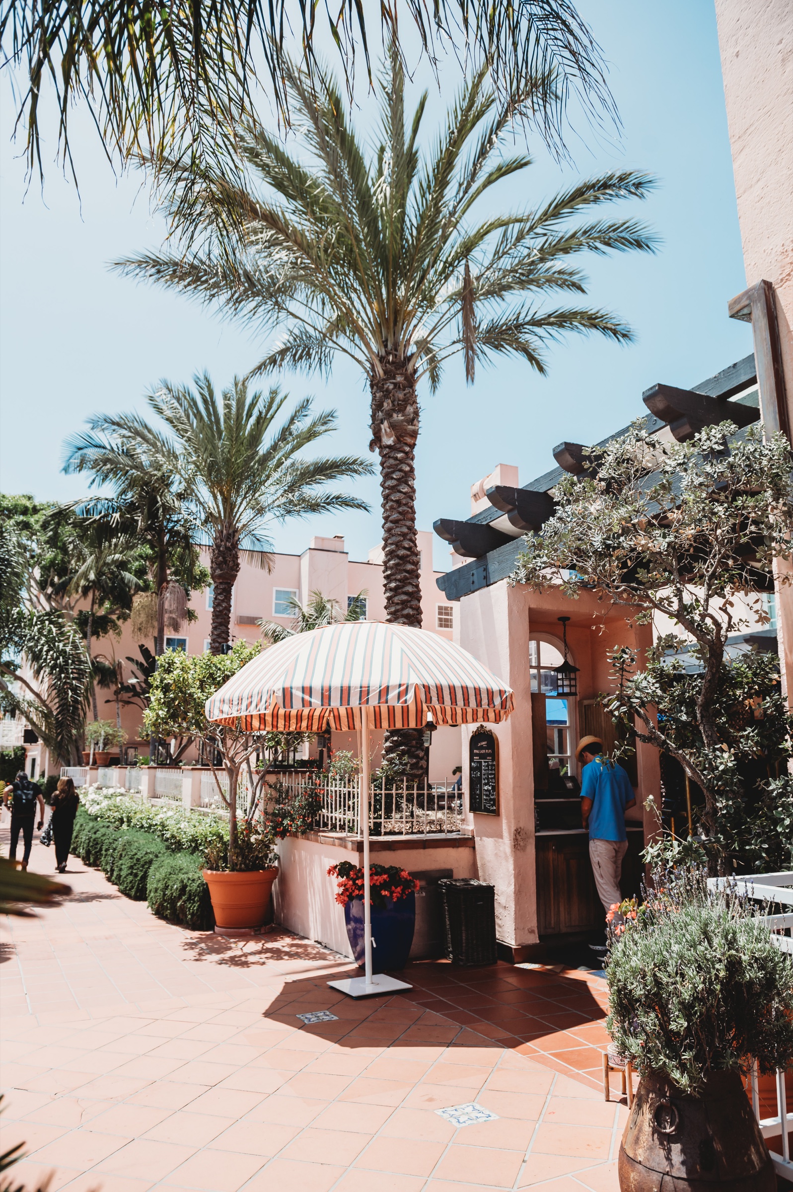 Palm trees and striped umbrellas in the La Valencia courtyard
